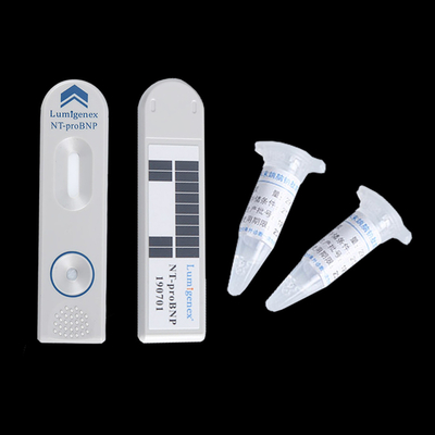 Yüksek Hassasiyetli N-Terminal pro-Beyin Natriüretik Peptit (NT-proBNP) Test Kiti (TRFIA)