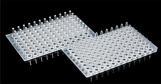 Laboratuvar için Eteksiz PCR Sarf Malzemeleri 0.1ml 96 Kuyulu PCR Plakası