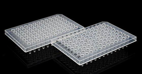 PCR Plakası 0.2ml 96 Kuyulu Yarım Etekli PCR Reaksiyon Plakası