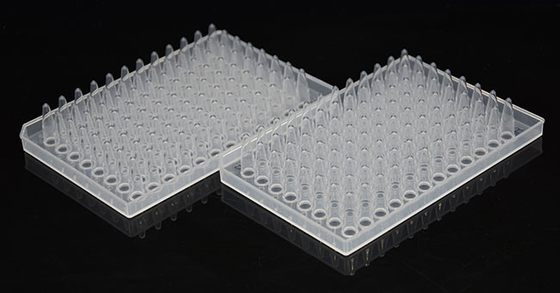 PCR Plakası 0.2ml 96 Kuyulu Yarım Etekli PCR Reaksiyon Plakası