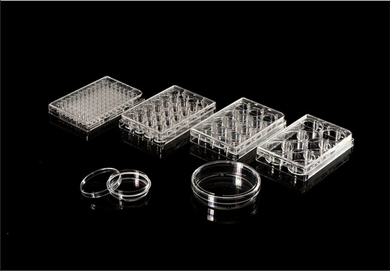 ISO13485 Polistiren PCR Sarf Malzemeleri 6 Kuyulu Hücre Kültürü Plakası