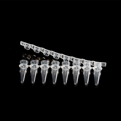 0.2ml 8 Strip PCR Tüpü